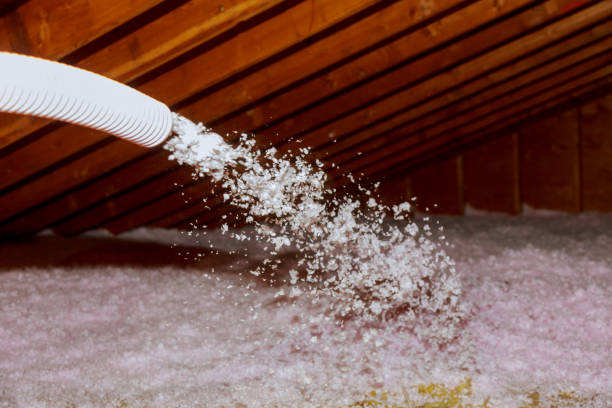 Best Geographic-Specific Insulation Services in Coal Grove, OH