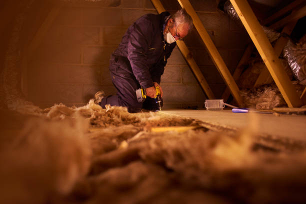 Best Eco-Friendly Insulation in Coal Grove, OH